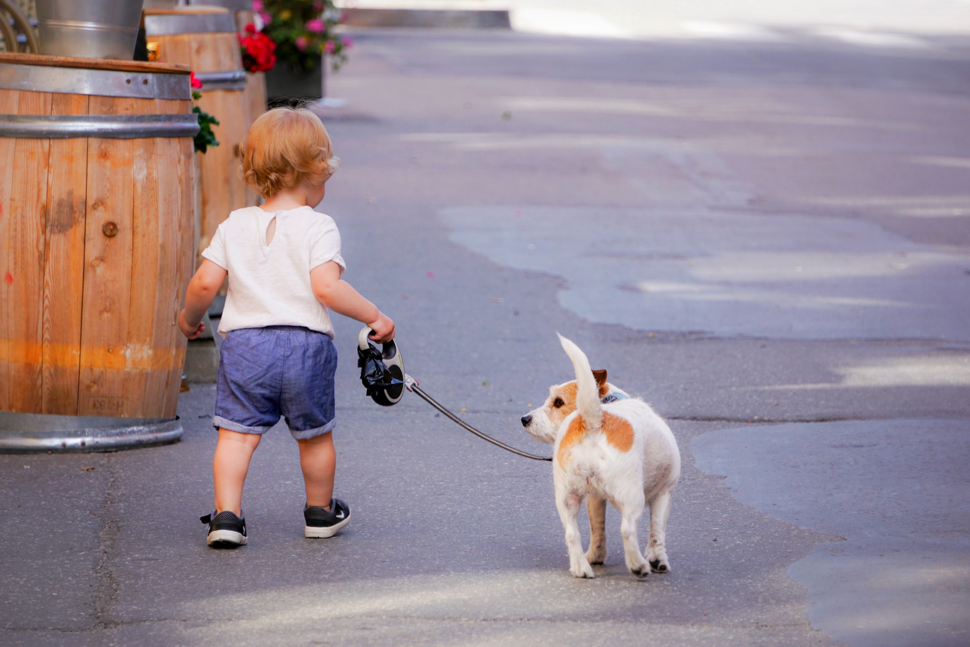 The top 5 benefits to having a toddler and a dog